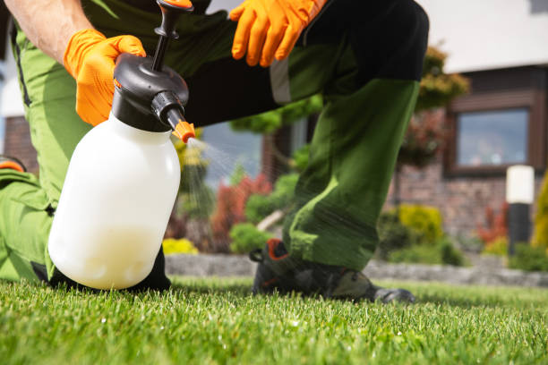 Best Wildlife Control Services  in Conway, AR