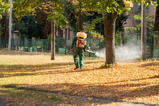 Best Local Pest Control Services  in Conway, AR