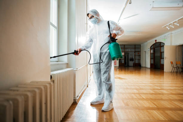 Best Affordable Pest Control Services  in Conway, AR