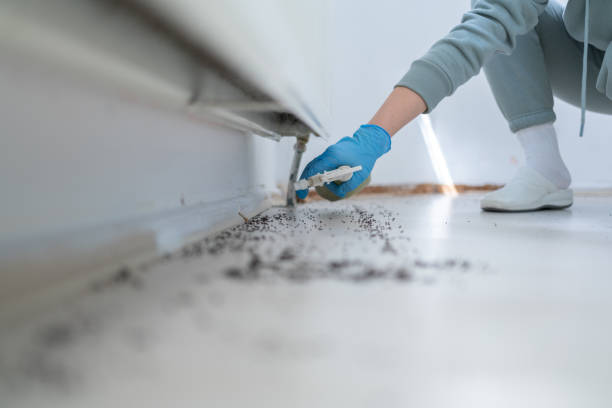 Best Affordable Pest Control Services  in Conway, AR